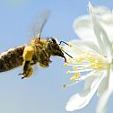 2011/05/image-206595-galleryv9-jfen