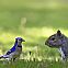 2011/05/img-1047