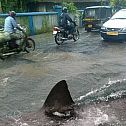 2012/03/dc6648-nurbilder369