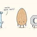 2012/03/nuts