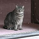 2012/03/tumblr-luy6omzt381qaf67i