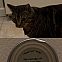 2012/03/imgur-aex98