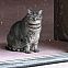 2012/03/tumblr-luy6omzt381qaf67i