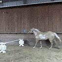 2012/09/9xgerlhxo0-xq8ywkz7t1g2