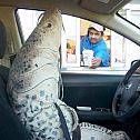 2015/03/ein-fisch-bei-dunkin-donuts