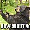 2015/03/01-how-about-no-bear