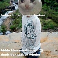 2021/08/701a802d80d628a6ab0a3d6e5f52d172