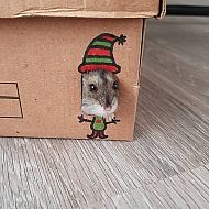 2021/12/img-20190413-wa0001