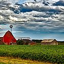 2022/05/farm
