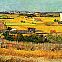 2022/10/van-gogh-moisson-a-la-crau-arles-june-1888-1000x792c