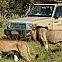 2023/02/safaris-unterkuenfte-dachzelt-fahrt-loewen-consafarity-1792x1000-1599476331
