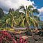 2023/06/62894-the-marquesas-islands