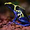 2023/07/372371-macro-animals