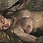 2024/02/2880px-lovis-corinth-liegender-akt-1915