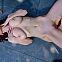 2024/02/metart-flirty-bows-azzurra-moretti-medium-0096