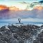 2024/02/north-cape-norway-orjan-bertelsen