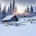 2024/03/106654-winter-forest-wallpaper-nature-forest-winter-forest-mountain-5040x3360-h