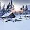 2024/03/106654-winter-forest-wallpaper-nature-forest-winter-forest-mountain-5040x3360-h