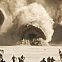 2024/03/dune2worms