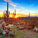 2024/04/1-canyontrailsfamilydental-com-az-sunset