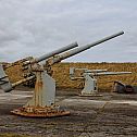 2024/06/sfvcm-guns